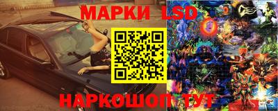 кокс Донской