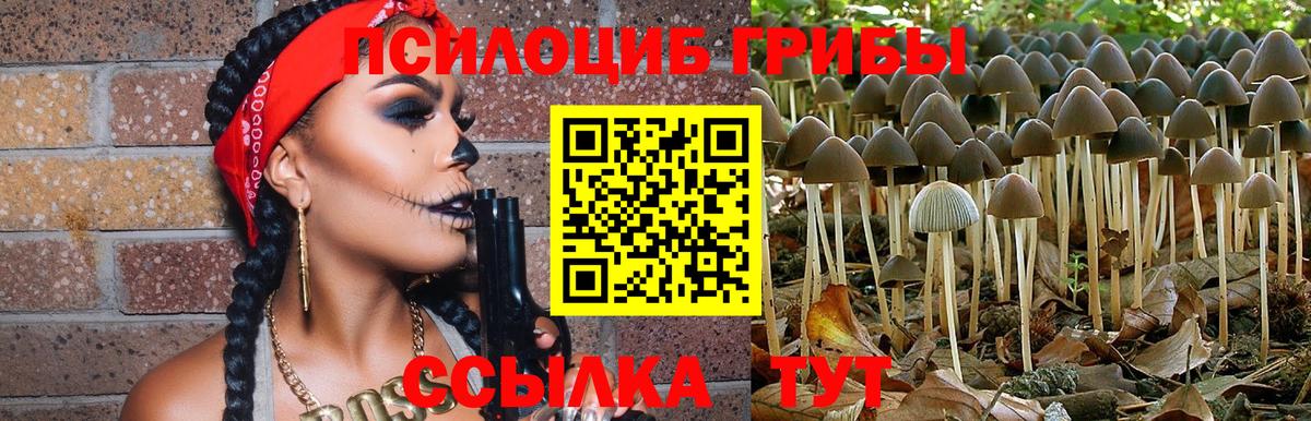 Галлюциногенные грибы мухоморы Курск